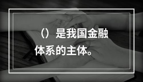 （）是我国金融体系的主体。