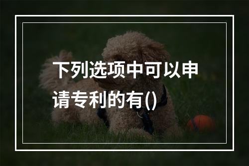 下列选项中可以申请专利的有()