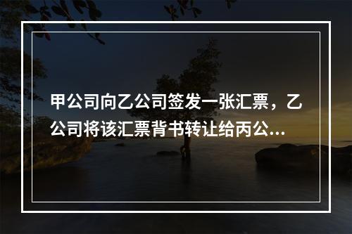 甲公司向乙公司签发一张汇票，乙公司将该汇票背书转让给丙公司，