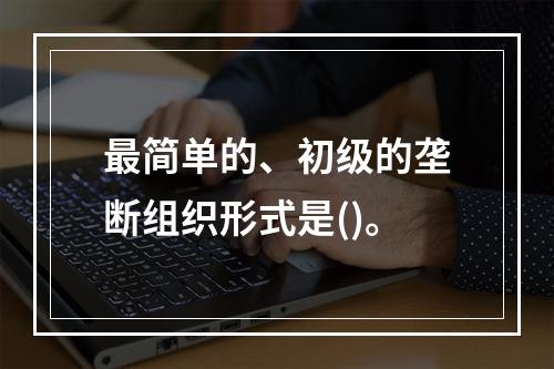 最简单的、初级的垄断组织形式是()。