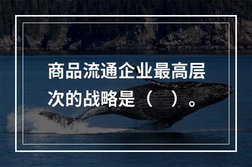 商品流通企业最高层次的战略是（　）。