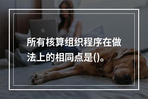 所有核算组织程序在做法上的相同点是()。