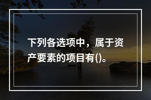 下列各选项中，属于资产要素的项目有()。