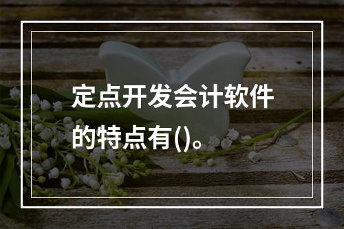 定点开发会计软件的特点有()。