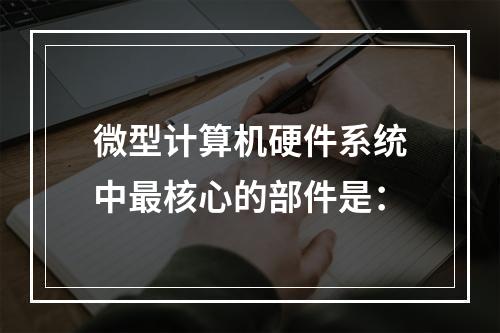 微型计算机硬件系统中最核心的部件是：