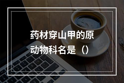 药材穿山甲的原动物科名是（）