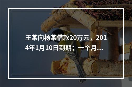 王某向杨某借款20万元，2014年1月10日到期；一个月后，