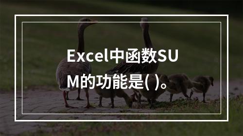 Excel中函数SUM的功能是( )。