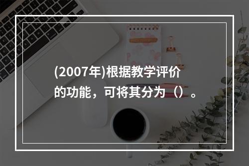 (2007年)根据教学评价的功能，可将其分为（）。