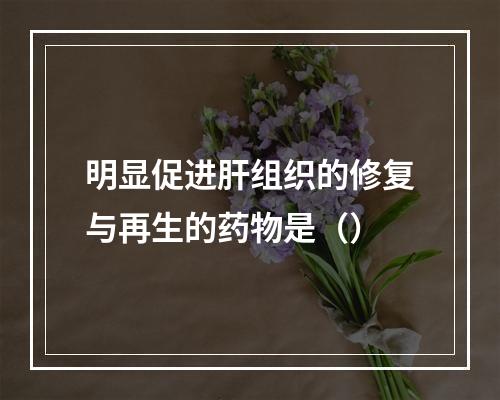 明显促进肝组织的修复与再生的药物是（）