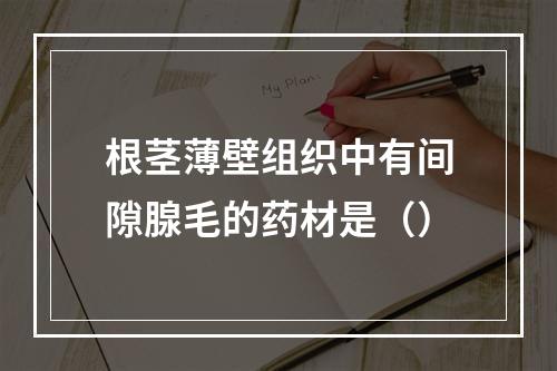 根茎薄壁组织中有间隙腺毛的药材是（）