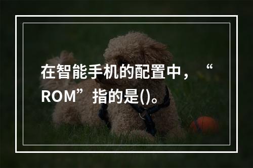 在智能手机的配置中，“ROM”指的是()。