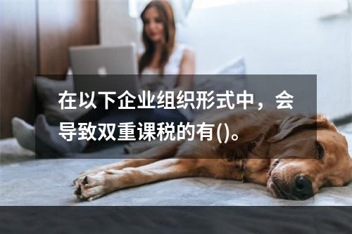 在以下企业组织形式中，会导致双重课税的有()。