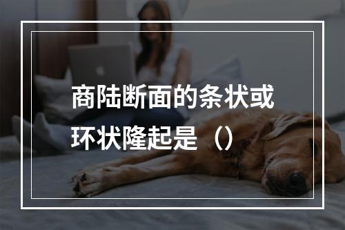 商陆断面的条状或环状隆起是（）