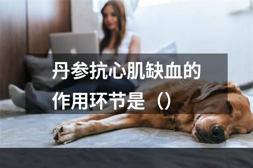 丹参抗心肌缺血的作用环节是（）