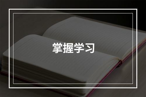 掌握学习