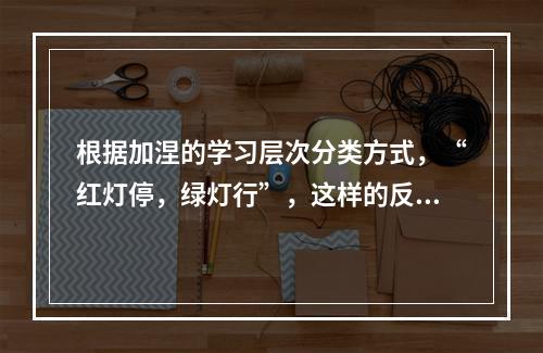 根据加涅的学习层次分类方式，“红灯停，绿灯行”，这样的反应的