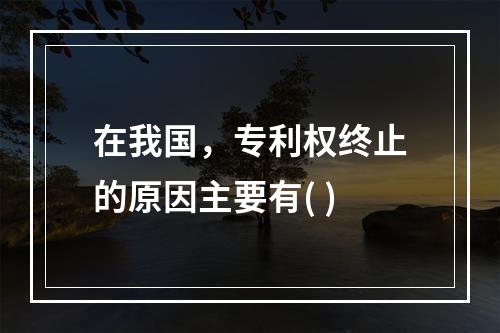 在我国，专利权终止的原因主要有( )