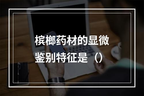 槟榔药材的显微鉴别特征是（）