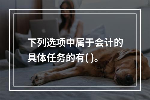 下列选项中属于会计的具体任务的有( )。