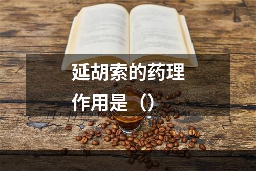 延胡索的药理作用是（）