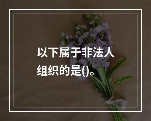 以下属于非法人组织的是()。