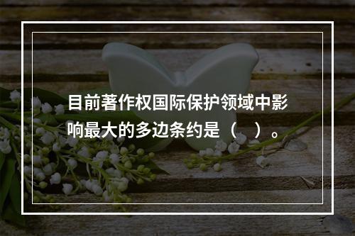 目前著作权国际保护领域中影响最大的多边条约是（　）。