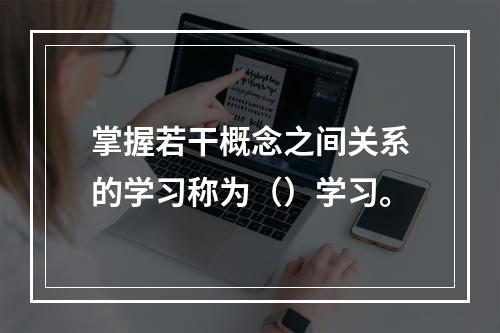 掌握若干概念之间关系的学习称为（）学习。