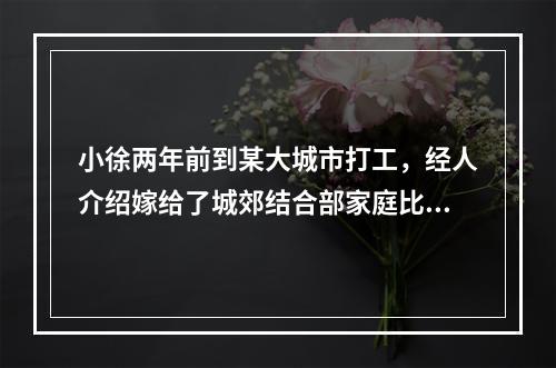 小徐两年前到某大城市打工，经人介绍嫁给了城郊结合部家庭比较宽