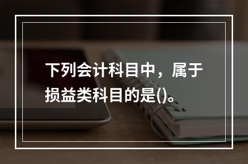 下列会计科目中，属于损益类科目的是()。