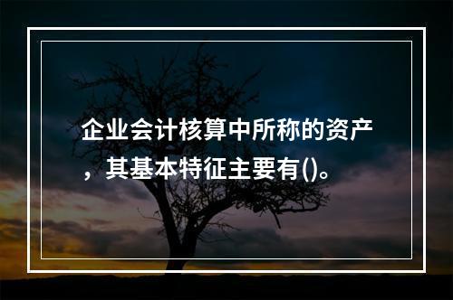 企业会计核算中所称的资产，其基本特征主要有()。