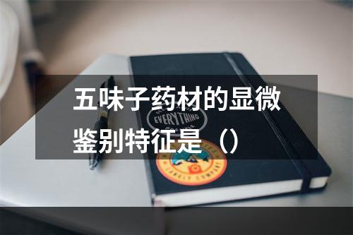 五味子药材的显微鉴别特征是（）