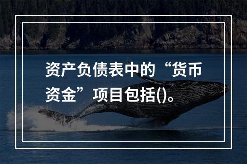 资产负债表中的“货币资金”项目包括()。