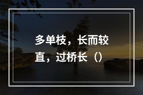 多单枝，长而较直，过桥长（）