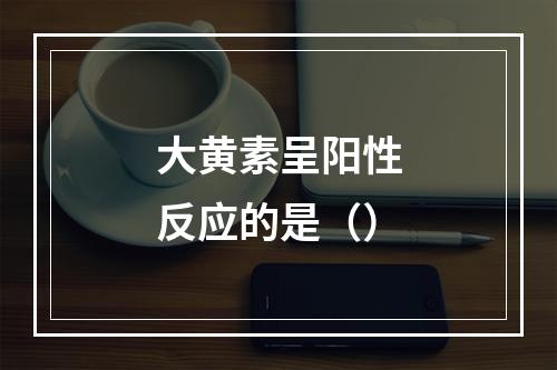 大黄素呈阳性反应的是（）