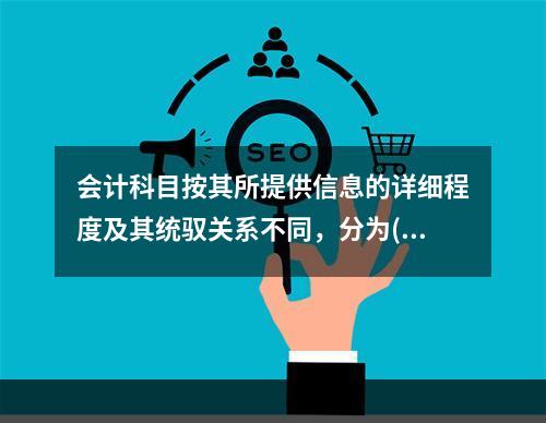 会计科目按其所提供信息的详细程度及其统驭关系不同，分为()和