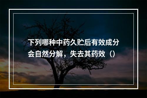 下列哪种中药久贮后有效成分会自然分解，失去其药效（）