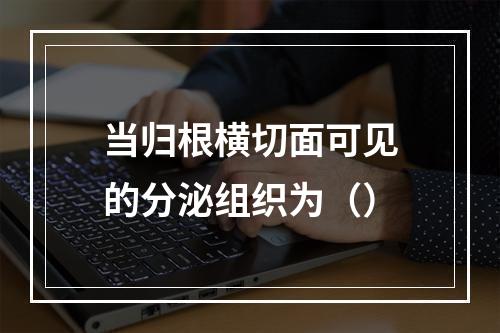 当归根横切面可见的分泌组织为（）