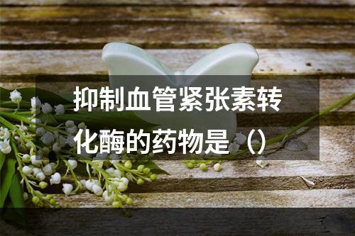 抑制血管紧张素转化酶的药物是（）