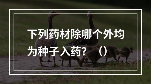 下列药材除哪个外均为种子入药？（）