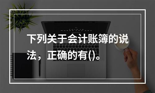 下列关于会计账簿的说法，正确的有()。