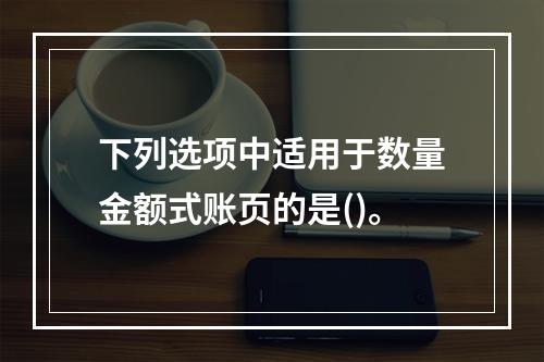 下列选项中适用于数量金额式账页的是()。