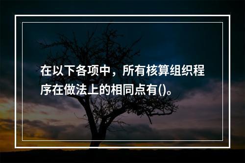 在以下各项中，所有核算组织程序在做法上的相同点有()。