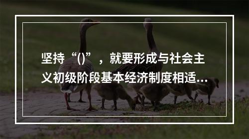 坚持“()”，就要形成与社会主义初级阶段基本经济制度相适应的