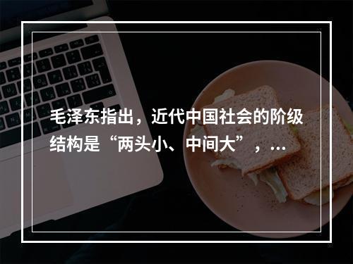 毛泽东指出，近代中国社会的阶级结构是“两头小、中间大”，其中