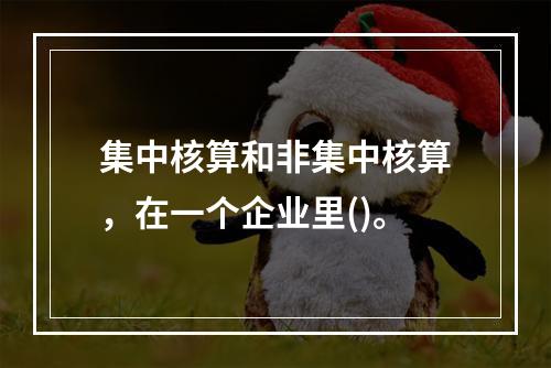 集中核算和非集中核算，在一个企业里()。