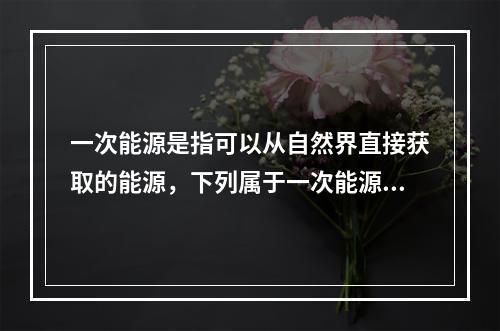 一次能源是指可以从自然界直接获取的能源，下列属于一次能源的是