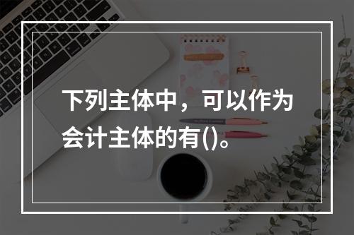 下列主体中，可以作为会计主体的有()。