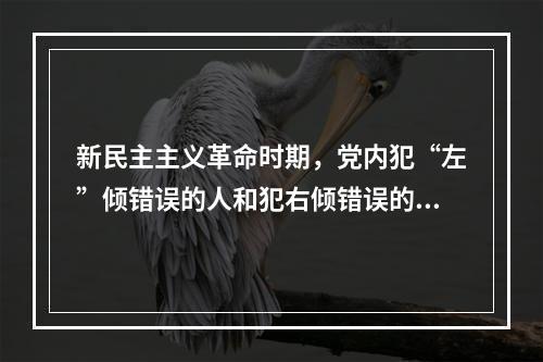 新民主主义革命时期，党内犯“左”倾错误的人和犯右倾错误的人分