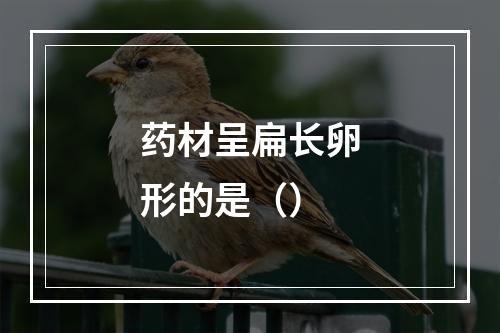 药材呈扁长卵形的是（）